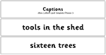 Captions