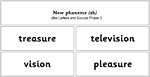 New Phoneme /zh/